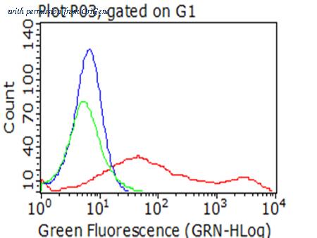 OriGene CF813226 image 1