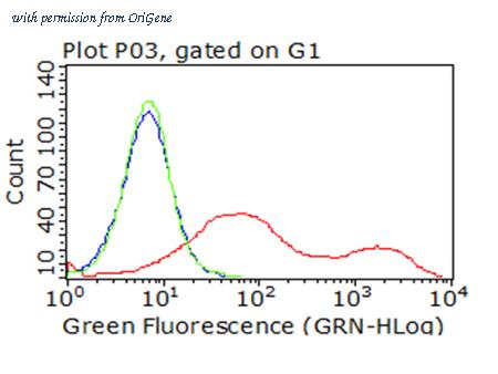 OriGene CF813244 image 1