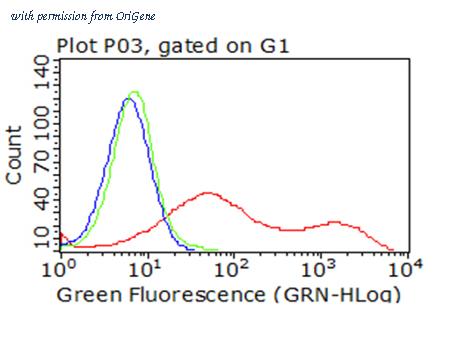OriGene CF813248 image 1