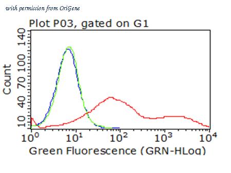 OriGene CF813250 image 1