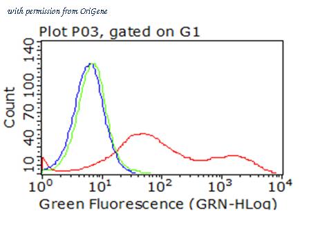 OriGene CF813252 image 1
