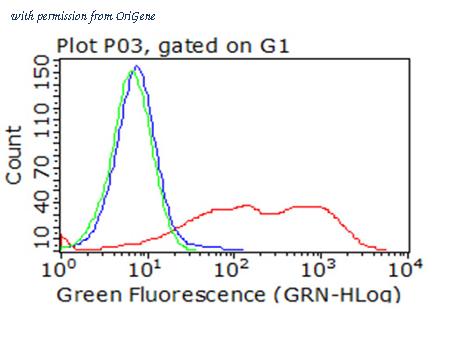 OriGene CF813299 image 1