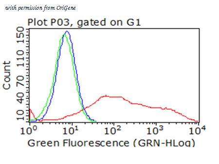 OriGene CF813300 image 1