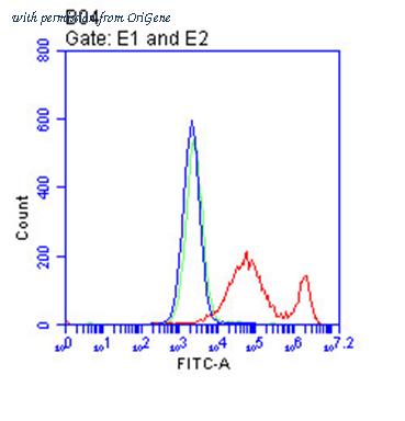 OriGene CF813471 image 1