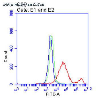 OriGene CF813841 image 1