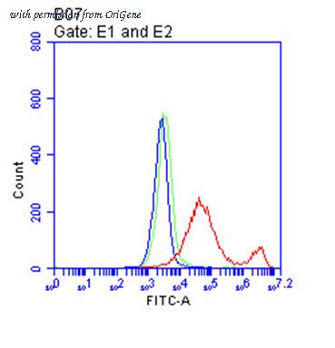 OriGene CF813845 image 1