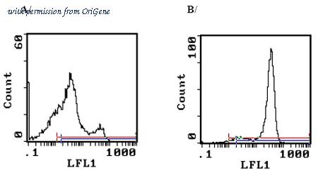 OriGene CL001F image 1