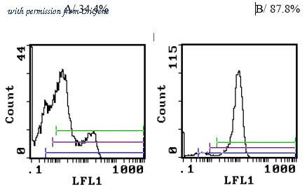 OriGene CL001P image 1