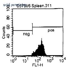 OriGene CL002F image 1