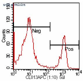 OriGene CL004APC image 1
