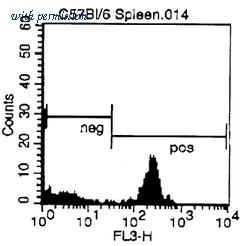OriGene CL004B image 1