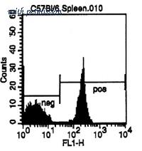 OriGene CL004F image 1