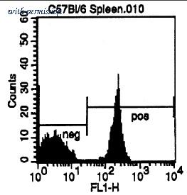OriGene CL004FX image 1