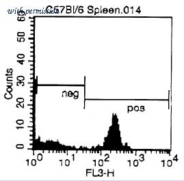 OriGene CL004R image 1
