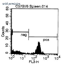 OriGene CL004RX image 1