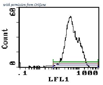 OriGene CL005P image 1