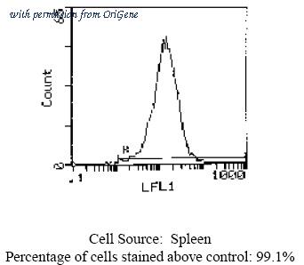 OriGene CL023A image 1