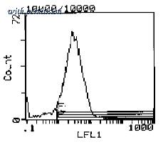 OriGene CL023BX image 1