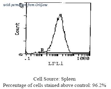 OriGene CL023F image 1