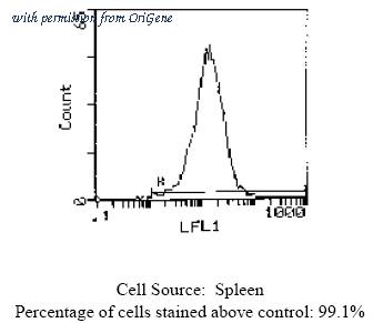 OriGene CL023P image 1