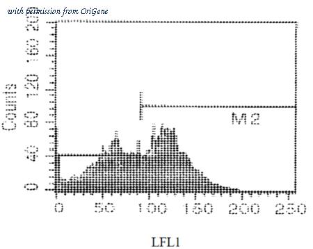 OriGene CL024F image 1