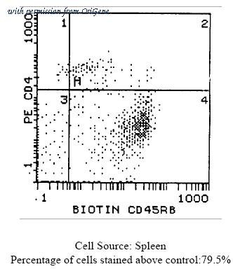 OriGene CL029B image 1