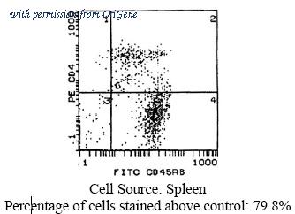 OriGene CL029F image 1