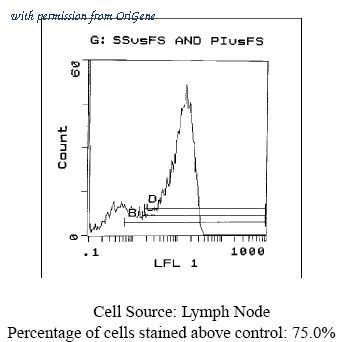 OriGene CL032P image 1