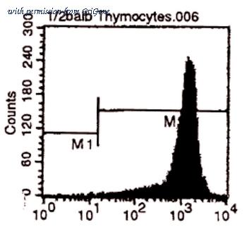 OriGene CL039APC image 1