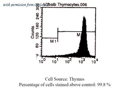 OriGene CL039P image 1