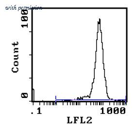 OriGene CL039RX image 1