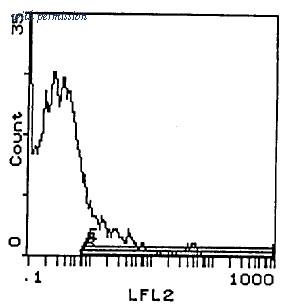 OriGene CL042B image 1