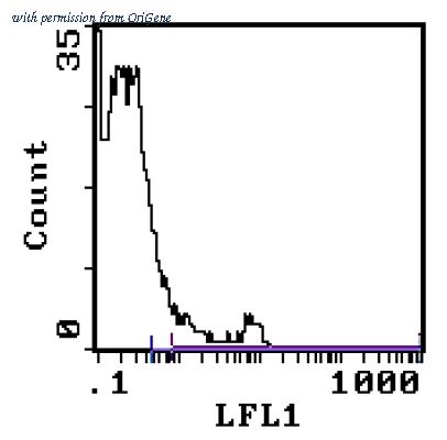 OriGene CL042F image 1