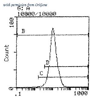 OriGene CL053F image 1