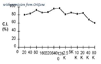 OriGene CL058P image 1