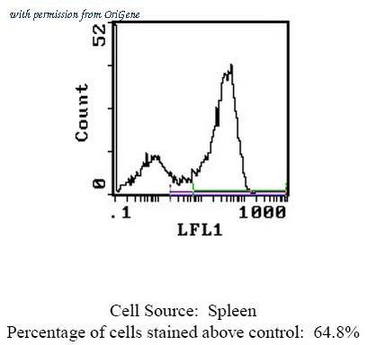 OriGene CL067B image 1