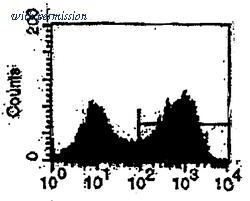 OriGene CL067FS image 1