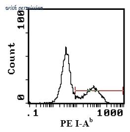 OriGene CL067R image 1