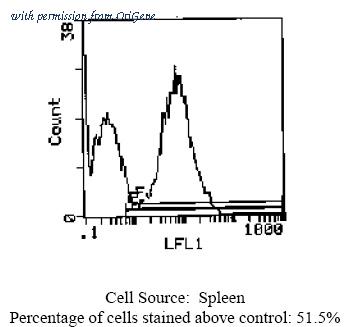 OriGene CL072B image 1