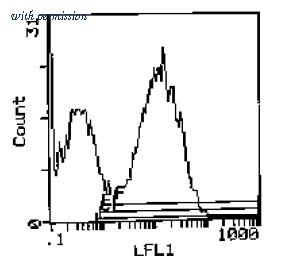 OriGene CL074B image 1