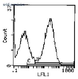 OriGene CL074F image 1