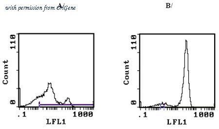 OriGene CL075FX image 1