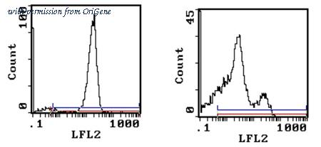 OriGene CL075R image 1
