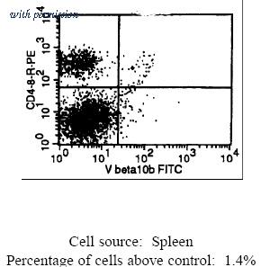 OriGene CL082F image 1