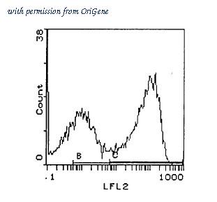 OriGene CL090R image 1