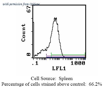 OriGene CL110BX image 1