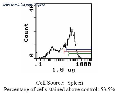 OriGene CL110P image 1