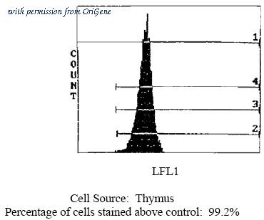 OriGene CL111BX image 1