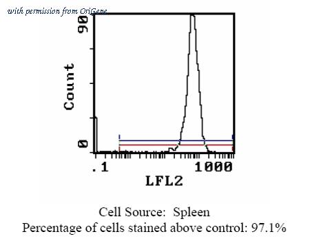 OriGene CL111R image 1