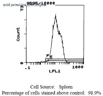 OriGene CL129BX image 1